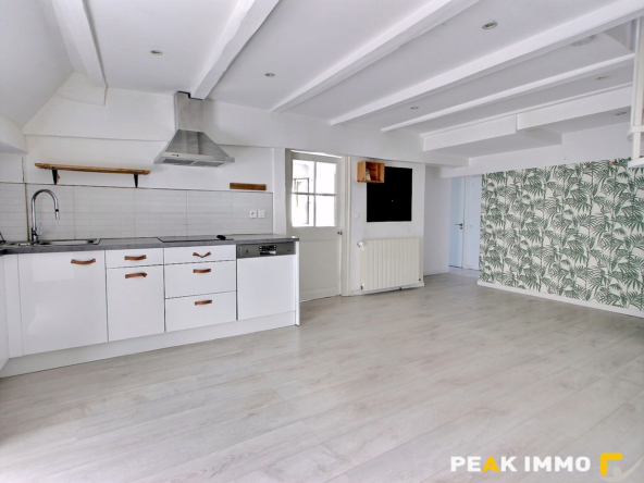 Appartement Duplex T3 - 73m2 - Annecy