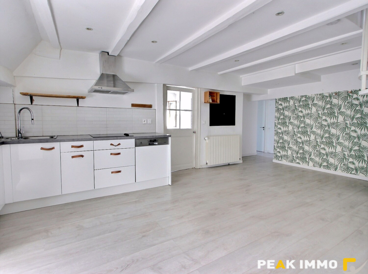 Appartement Duplex T3 - 73m2 - Annecy