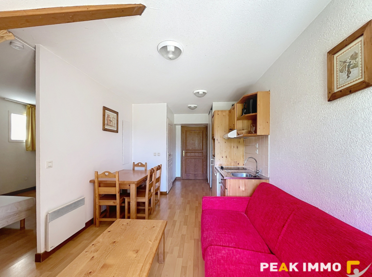 Appartement T2 - 34 m2 - Vue exceptionnelle - GIEZ