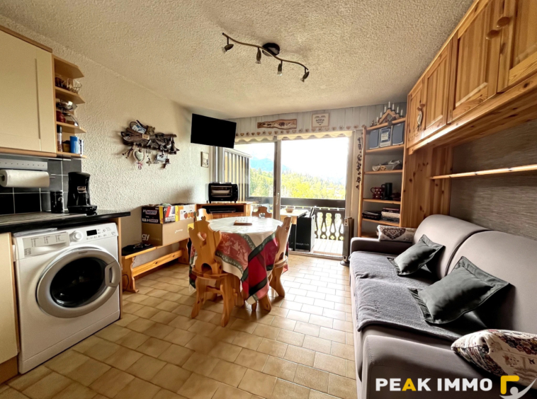 Appartement Studio cabine - 21.37m2 - Combloux Secteur piste