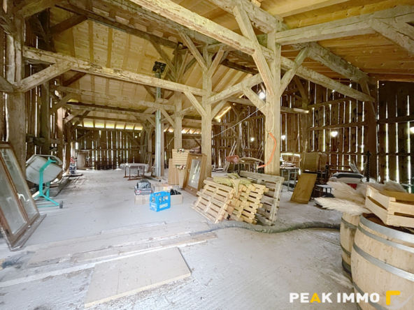 MEGEVETTE FERME RENOVEE 3 CHAMBRES GRANGE TERRAIN 1288m2