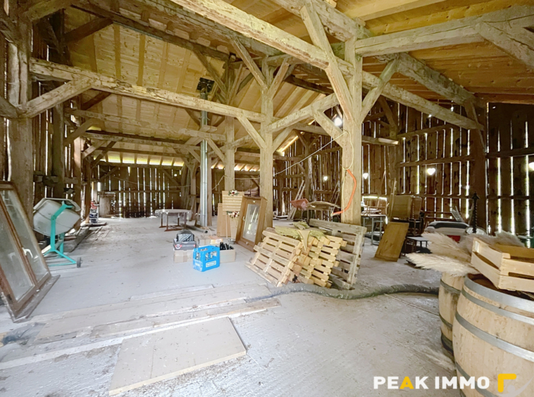 MEGEVETTE FERME RENOVEE 3 CHAMBRES GRANGE TERRAIN 1288m2