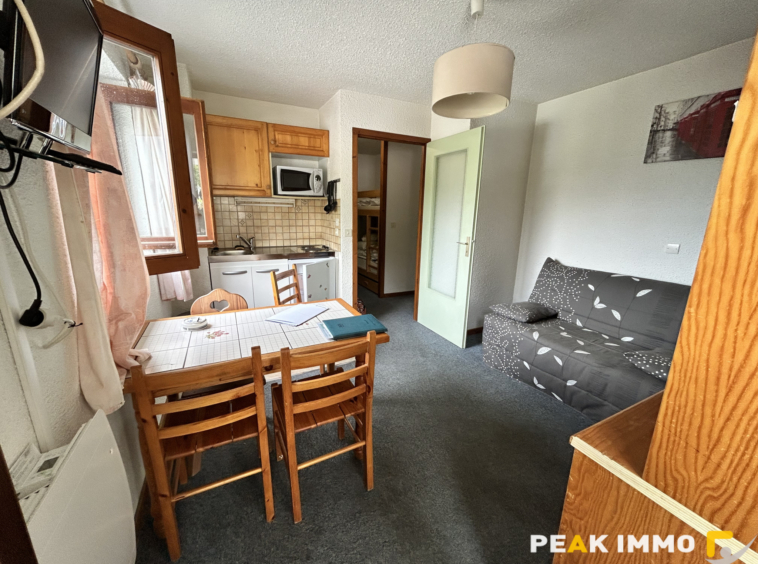 Appartement Studio cabine - 20.01 m2 - Combloux