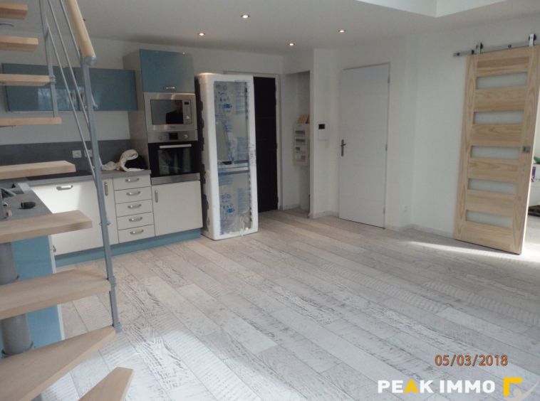 3 pièces 46m2- Rumilly