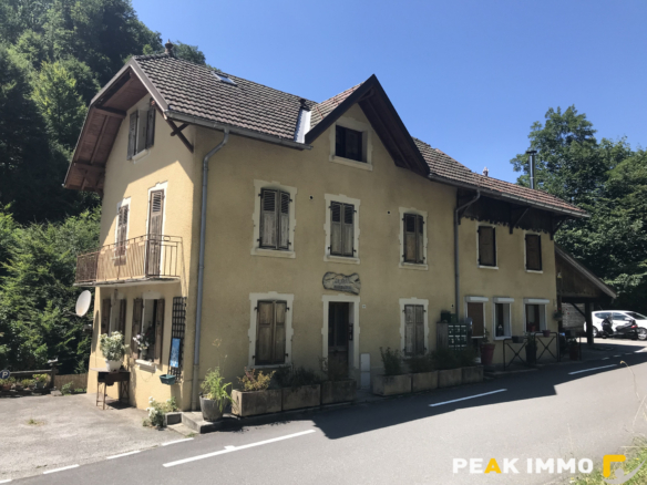 Charmant studio avec mezzanine  - Thônes