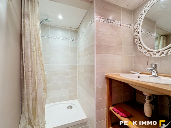 Maison 7 pièces - 196 m2 - Saint-Eusèbe