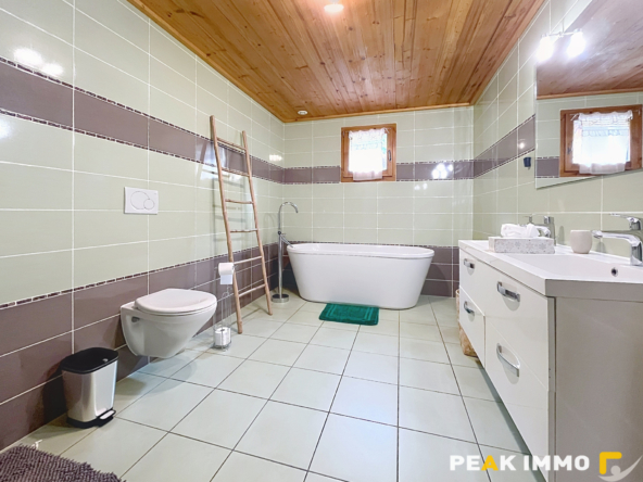 MEGEVETTE FERME RENOVEE 3 CHAMBRES GRANGE TERRAIN 1288m2