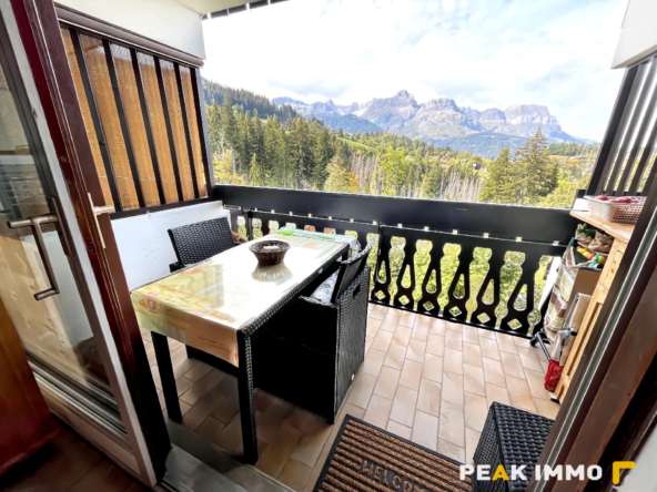 Appartement Studio cabine - 21.37m2 - Combloux Secteur piste