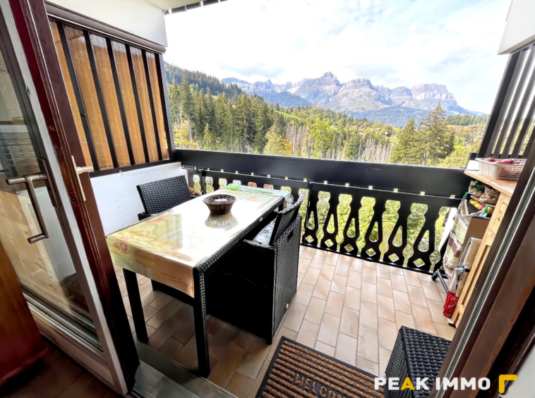 Appartement Studio cabine - 21.37m2 - Combloux Secteur piste