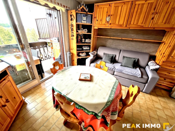 Appartement Studio cabine - 21.37m2 - Combloux Secteur piste