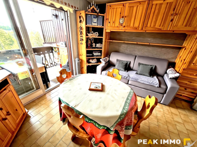 Appartement Studio cabine - 21.37m2 - Combloux Secteur piste