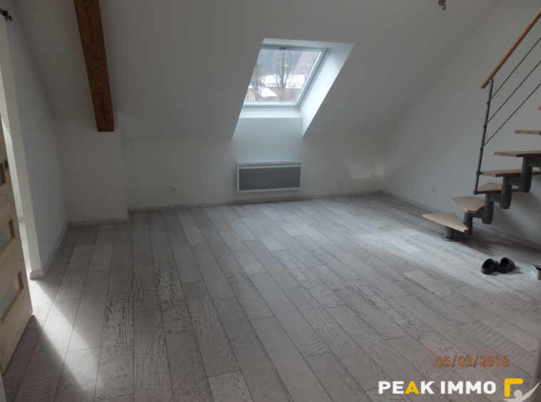 3 pièces 46m2- Rumilly